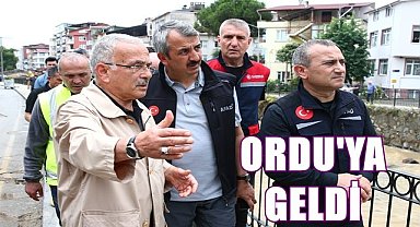 Ordu'da 352 işyeri selden zarar gördü