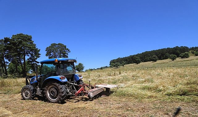 Ordu'da atıl araziler berekete dönüştü
