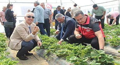 Ordu'da Bombos Arısı tarıma katkı sunacak