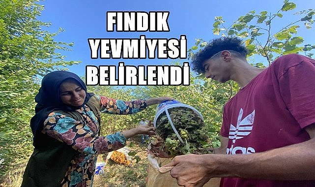 Ordu'da fındık yevmiyesi açıklandı