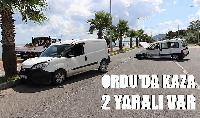 Ordu'da kazada iki kişi yaralandı