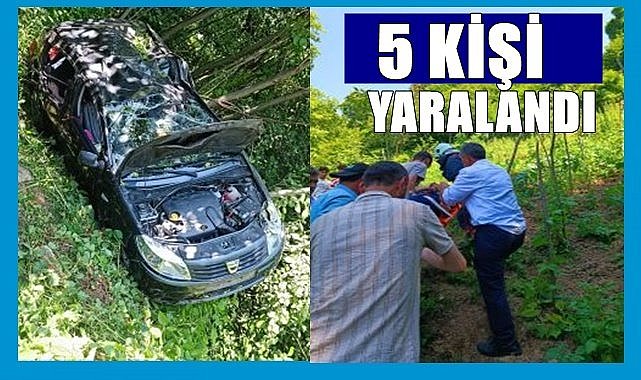 Ordu'da otomobil şarampole yuvarlandı