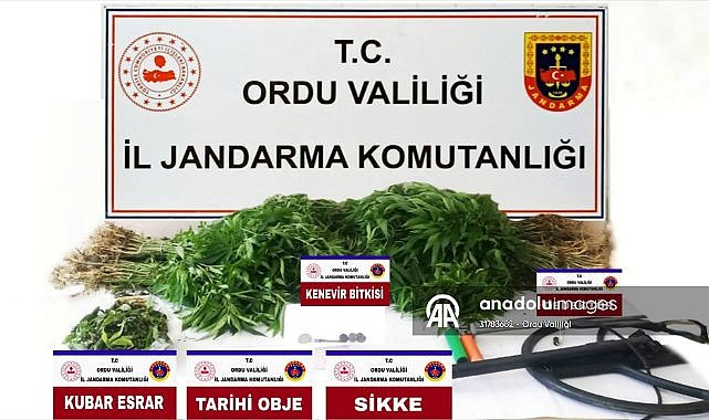 Ordu'da tarihi eser operasyonu