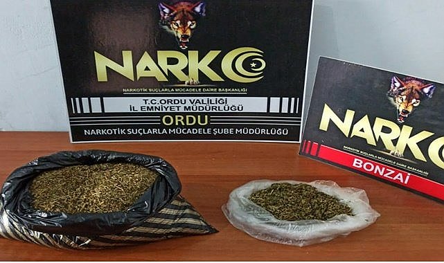 Ordu'da yolcu otobüsünde yakalandı