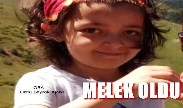 Ordu küçük Elvin'e ağlıyor