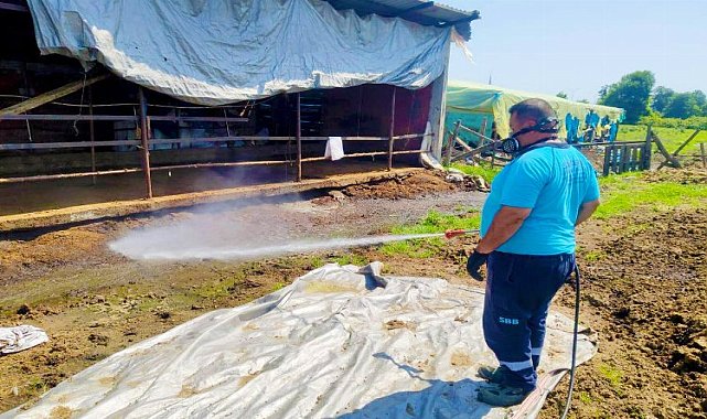 Sakarya'da 16 ilçede vektörle mücadeleye devam