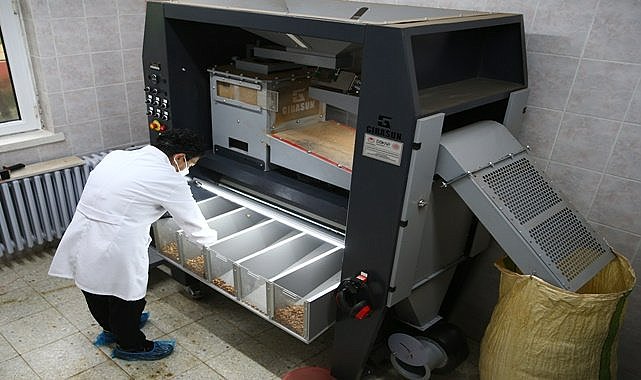 Trabzon'dan fındık ihracatı