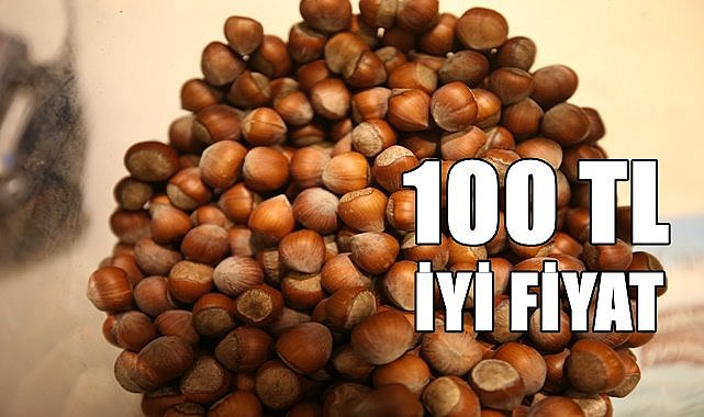 Tüm Köy Sen Fındık fiyatı açıkladı