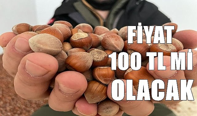 Ziraat Odaları yeni fındık fiyatı açıkladı
