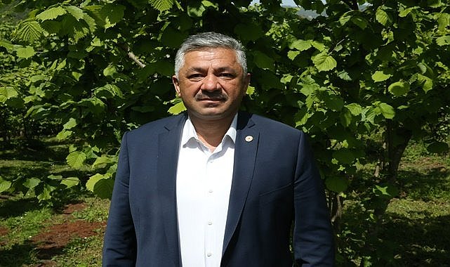 Ziraat Odası fındık için dolar üzerinden fiyat istedi