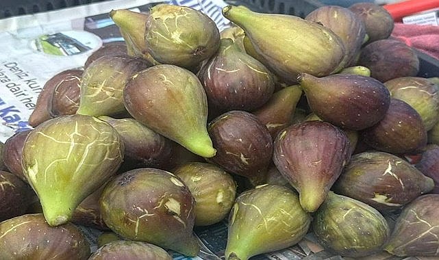 2 kilo fındık 1 kilo incir alabiliyor