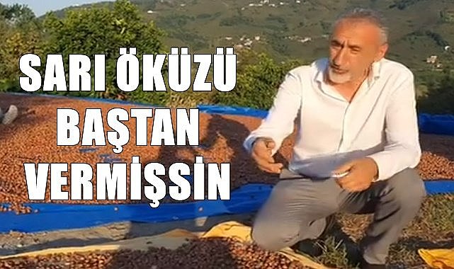 45 TL&#039;ye alınan fındık 700 TL&#039;ye satıldı