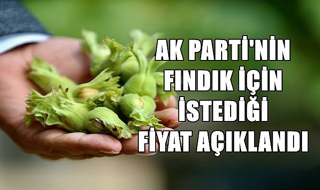 AK Parti'nin fındık için istediği fiyat açıklandı