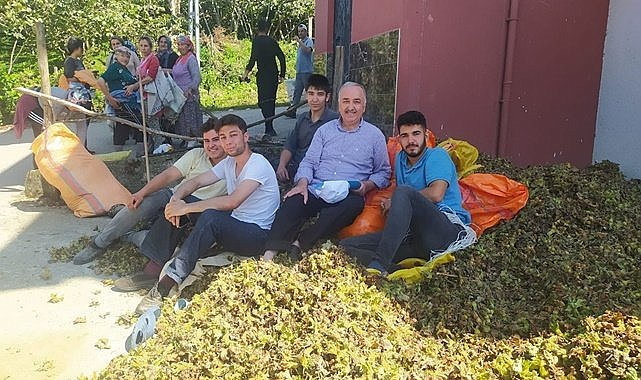 AK Partili Milletvekili: Fındığı emanete vermeyin