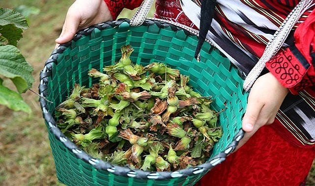 Borsa Başkanı fındık fiyatından memnun!