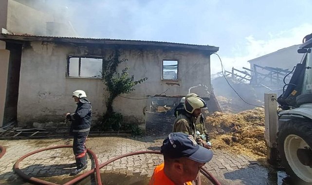 Bursa Orhaneli&#039;de korkutan yangın!