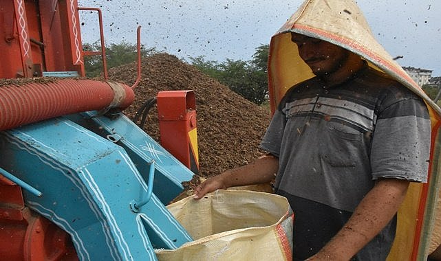 Fındığı patoza veren işi bitiriyor