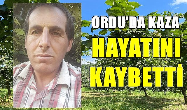 Fındık bahçesine devrildi yaşamını kaybetti