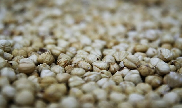 Fındık Çorbası nasıl hazırlanır?