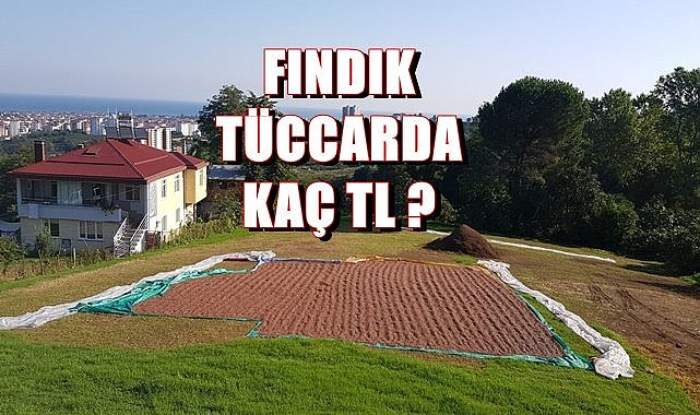 Fındık fiyatı 23.08.2023