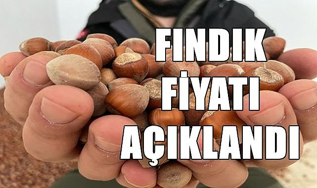 Fındık fiyatı açıklandı