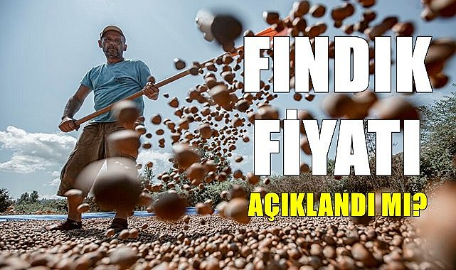 Fındık fiyatı açıklandı mı?
