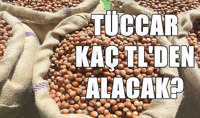 Fındık fiyatı tüccarda kaç TL olur?