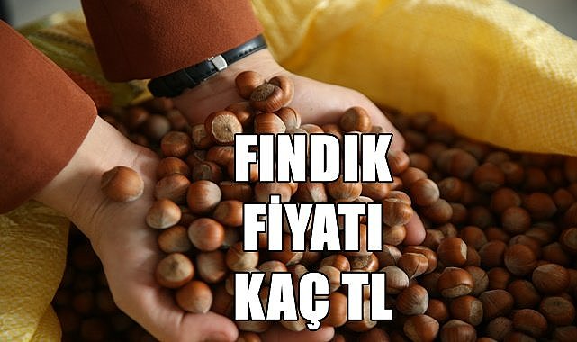 Fındık fiyatında aradaki fark 15 TL
