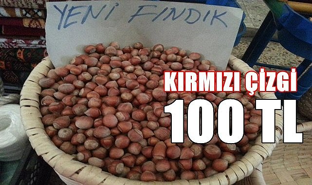 Fındık fiyatında kırmızı çizgi 100 TL