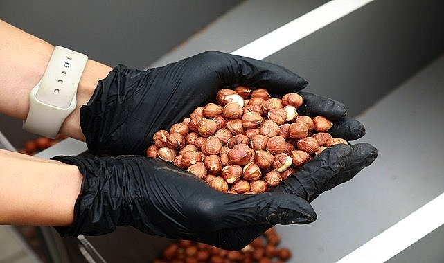 Fındık hangi hastalıklara iyi geliyor