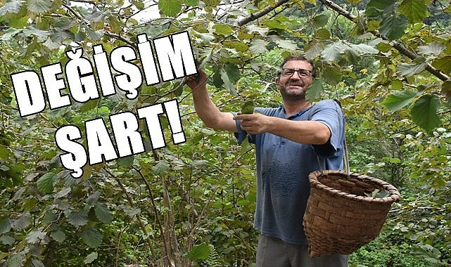 Fındık üretiminde değişim şart!