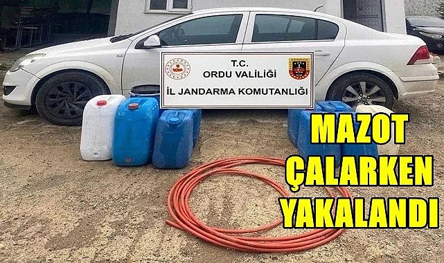 Ordu&#039;da iş makinelerinden hortumla mazot çekerken yakalandı
