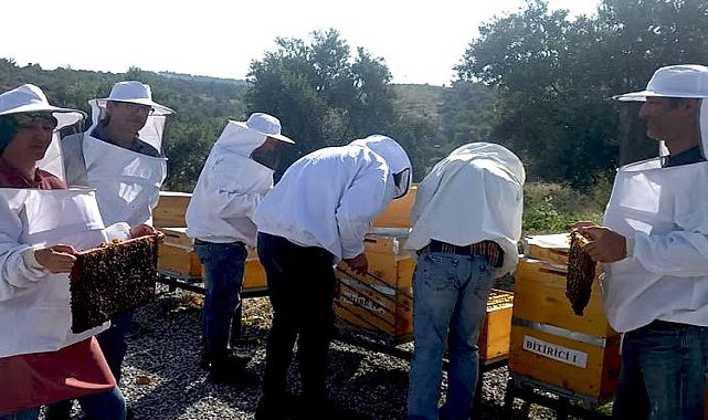 Manisa&#039;da arıcılık eğitiminde yeni dönem