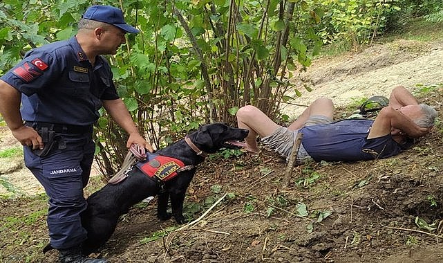 Ordu&#039;da kaybolan vatandaşı fındık bahçesinde iz köpeği buldu