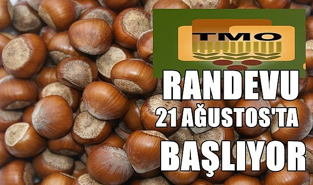 TMO fındık için 21 Ağustos&#039;ta randevu verecek