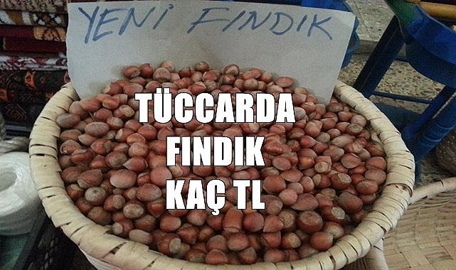 Tüccar fındık fiyatı açıkladı