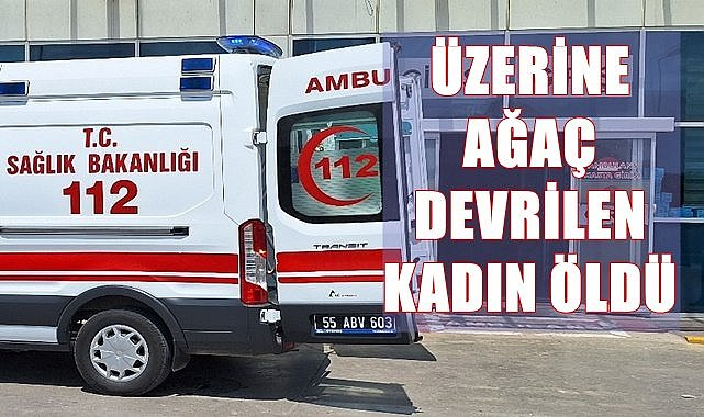 Üzerine ağaç devrilen kadın hayatını kaybetti