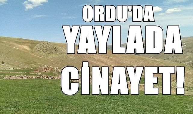 Ordu&#039;da yaylada mera kavgası can aldı