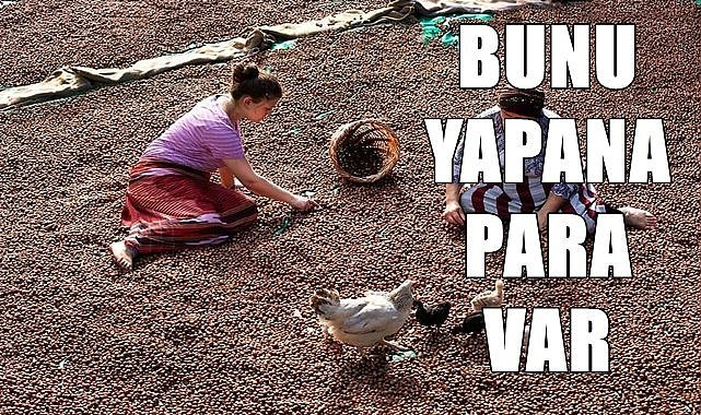Bugün başladı; Bunu yapan fındık parası alacak
