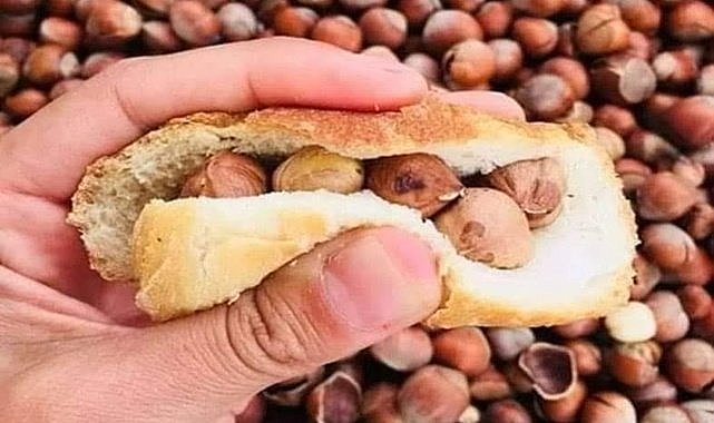 Ekmek arası fındık