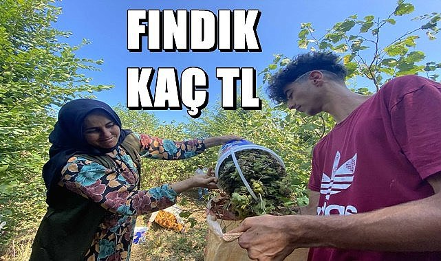 Fındık fiyatı 04.09.2023