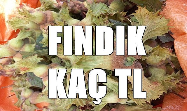 Fındık fiyatı 23.09.2023