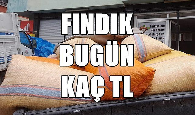 Fındık fiyatı (30.09.2023)