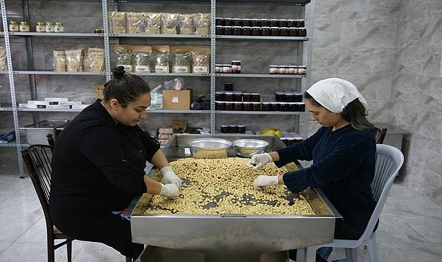 Fındık işletmelerine destek verilecek