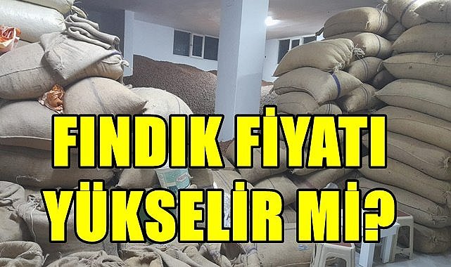 Fındık piyasası sancılı! Fındık fiyatı kaç TL
