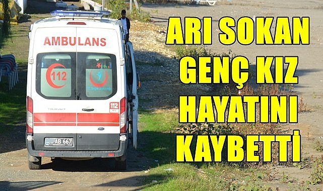 Fındık toplarken arı soktu yaşamını yitirdi