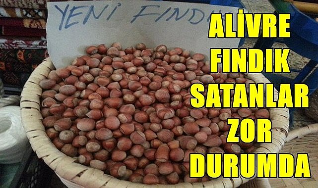 Fındıkta işler tersine döndü; Alivre fındık satanlar zor durumda!