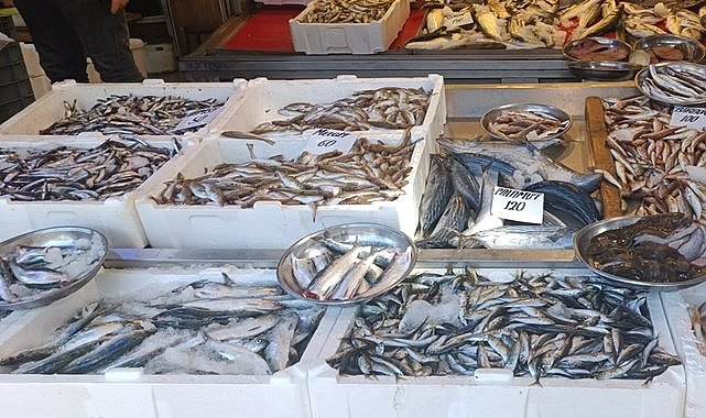 Giresun&#039;da hamsinin kilosu 50 TL