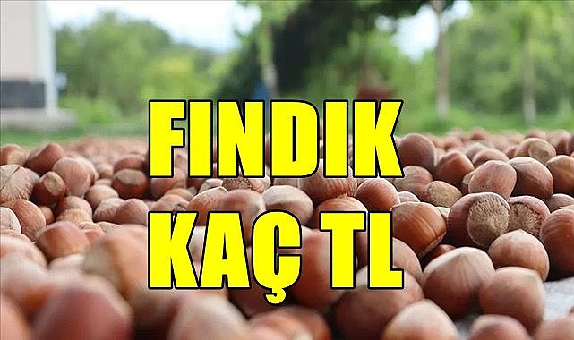 Ordu&#039;da randımana göre fındık fiyatı