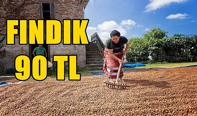 Ordu&#039;da tüccarda fındık 90 TL oldu